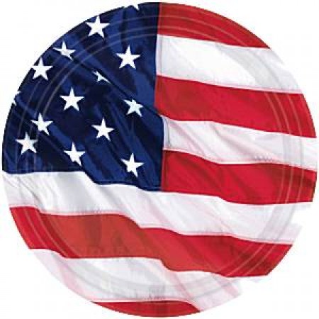 8 PIATTI FLAG AMERICA 26,6 Cm DI CARTONE MOLTO RESISTENTE PARTY
